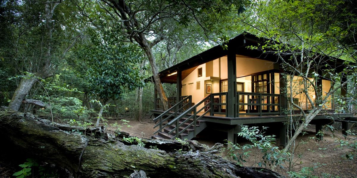 Phinda Forest Lodge, Phinda Private Game Reserve, South Africa